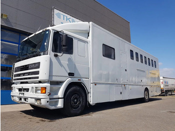 Truk pengangkut kuda DAF 95 350