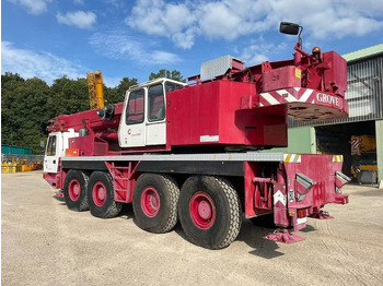 Derek semua medan Grove GMK 4080: gambar 4