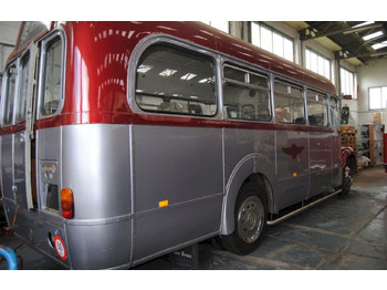Bus Guy special MXX 310: gambar 3