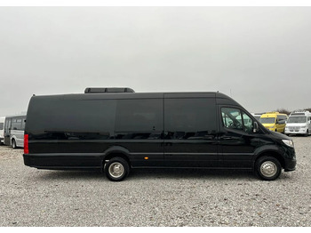 Bus mini, Van penumpang baru Mercedes-Benz Sprinter 519: gambar 4