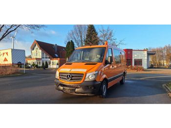 Van penumpang MERCEDES-BENZ Sprinter 313