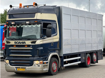 Truk pengangkut hewan SCANIA R 420
