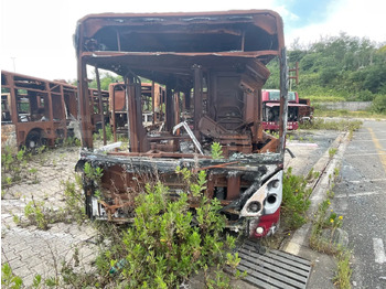 Bus kota IVECO