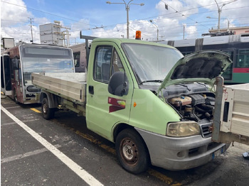 Bus mini FIAT Ducato
