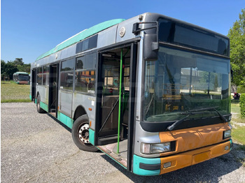 Bus kota IRISBUS