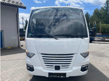 Bus kota IVECO Daily