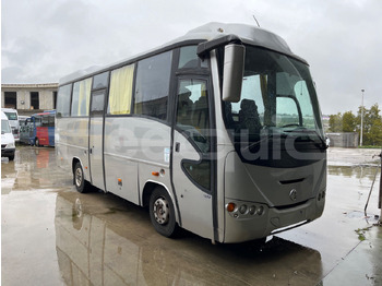 Bus pariwisata IVECO