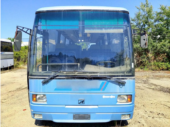 Bus kota MAN