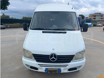 Bus mini, Van penumpang Mercedes-Benz Sprinter: gambar 2