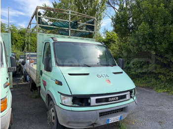 Bus mini IVECO
