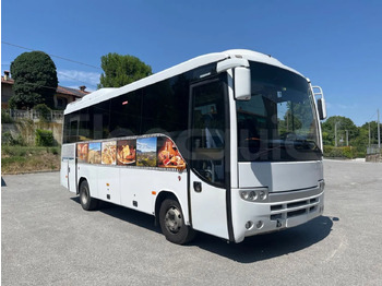Bus pariwisata