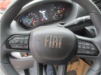 Van flatbed, Van kombi Fiat Ducato: gambar 5