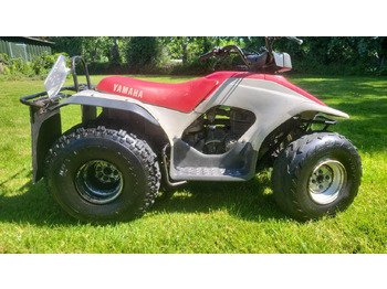 ATV Yamaha BREEZE 125cc Quad  T-50-BLG: gambar 4
