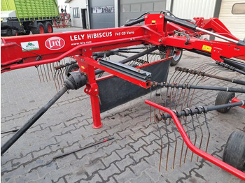 Leasing  Lely hibiscus 745 CD Vario Lely hibiscus 745 CD Vario: gambar 4