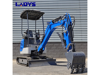 Ekskavator baru LADYS DY18 Mini Excavator Kubota Euro 5/Epa Engine Mini Excavator For Sale: gambar 3