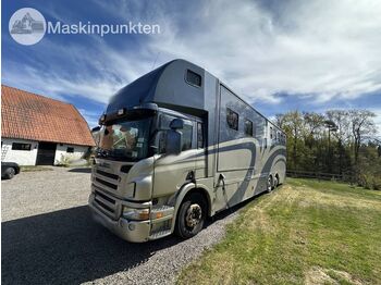 Truk pengangkut hewan SCANIA P 380