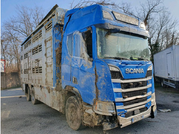 Truk pengangkut hewan SCANIA R 580