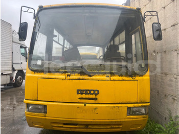 Bus sekolah IVECO