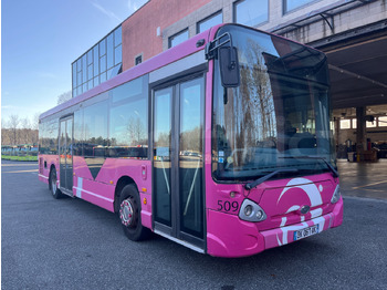 Bus kota