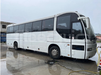 Bus pariwisata IVECO