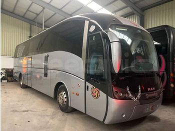 Bus pariwisata MAN