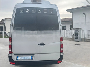 Bus mini, Van penumpang Mercedes-Benz Sprinter: gambar 5