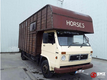 Truk pengangkut hewan MAN