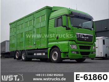 Truk pengangkut kuda MAN TGX 26.480