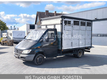 Truk pengangkut hewan MERCEDES-BENZ Sprinter
