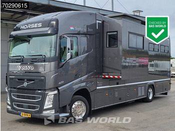 Truk pengangkut kuda VOLVO FH 420