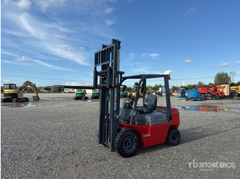 Forklift diesel PLUS POWER