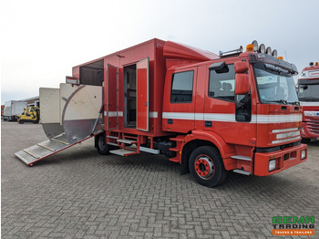 Truk pengangkut kuda IVECO