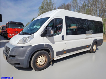 Bus mini FIAT Ducato
