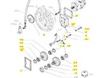 Penularan CASE