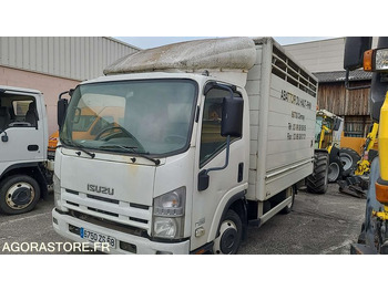 Truk pengangkut hewan ISUZU