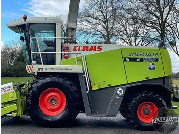 Pemanen hijauan Claas Jaguar 830 492: gambar 5