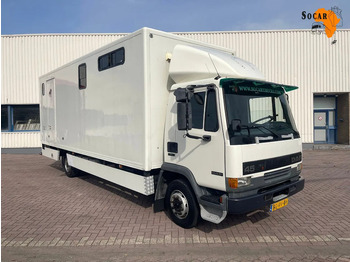 Truk pengangkut kuda DAF LF 45 130