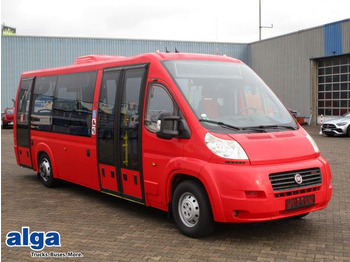 Bus mini FIAT Ducato