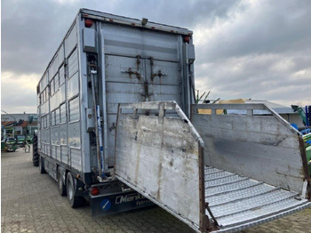 Trailer pertanian Pezzaioli 3-Stock: gambar 5 Trailer pertanian Pezzaioli 3-Stock: gambar 5