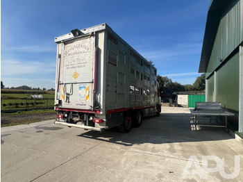 Truk pengangkut hewan Volvo Fm 410 DO PRZEWOZU BYDŁA: gambar 5 Truk pengangkut hewan Volvo Fm 410 DO PRZEWOZU BYDŁA: gambar 5