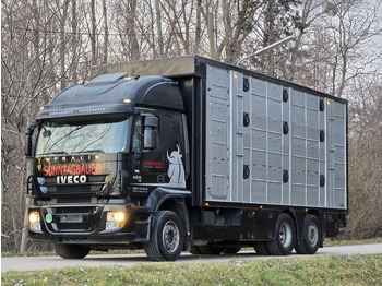 Truk pengangkut hewan IVECO Stralis