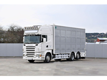 Truk pengangkut hewan SCANIA R 500