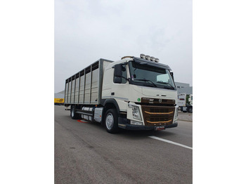 Truk pengangkut hewan VOLVO FM 500