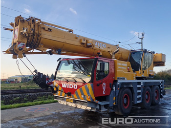 Derek bergerak LIEBHERR LTM 1050-3.1