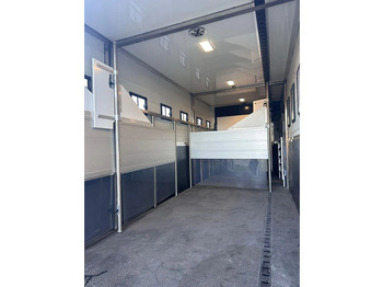 Truk pengangkut kuda Scania P250 Horse Truck: gambar 5