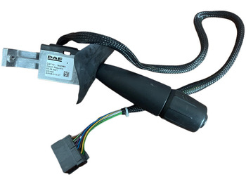 Relay DAF 2020: gambar 2