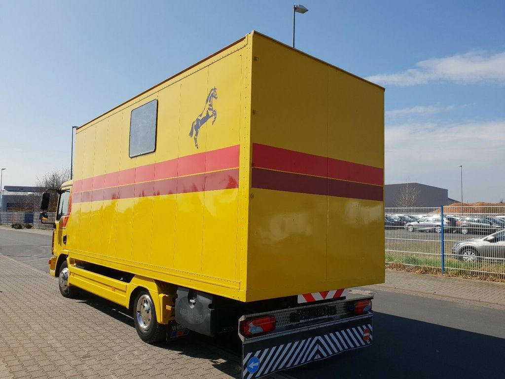 MAN TGL 10.180 Euro 4 Pferdetransporter Horse - Truk pengangkut kuda: gambar 5 MAN TGL 10.180 Euro 4 Pferdetransporter Horse - Truk pengangkut kuda: gambar 5
