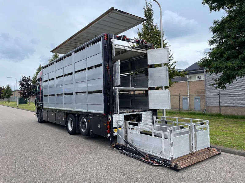 DAF XF 460 2017 berdex 3 lagen varkens - Truk pengangkut hewan: gambar 4 DAF XF 460 2017 berdex 3 lagen varkens - Truk pengangkut hewan: gambar 4