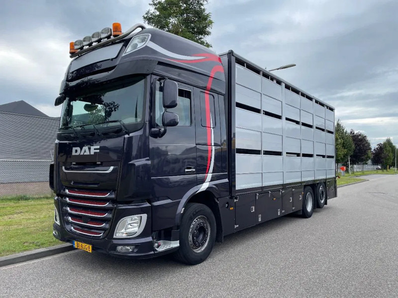DAF XF 460 2017 berdex 3 lagen varkens - Truk pengangkut hewan: gambar 1 DAF XF 460 2017 berdex 3 lagen varkens - Truk pengangkut hewan: gambar 1