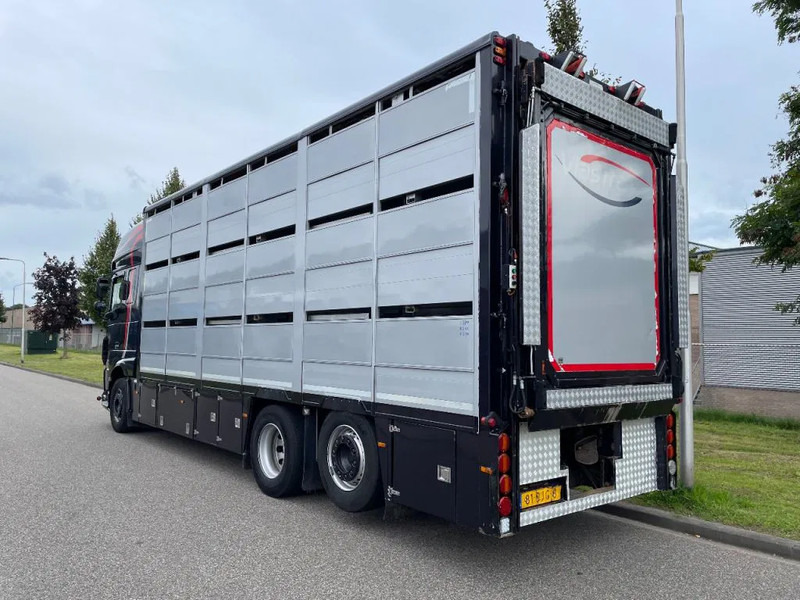 DAF XF 460 2017 berdex 3 lagen varkens - Truk pengangkut hewan: gambar 2 DAF XF 460 2017 berdex 3 lagen varkens - Truk pengangkut hewan: gambar 2